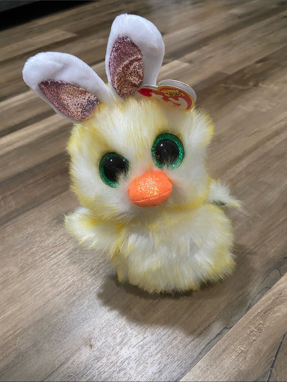 Ty Beanie Boos - Coop